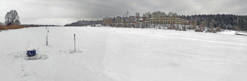 Ryb_17.02.2023-1.jpg