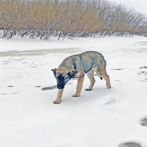 Ryb_17.02.2023-4.jpg