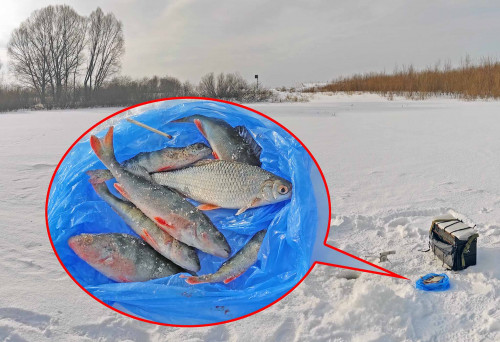 Ryb_21.02.2023-3.jpg