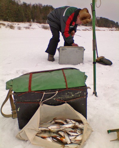 Shmrsk_23032012-3.jpg