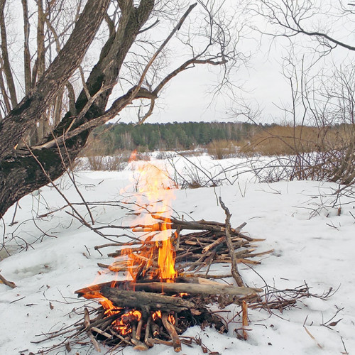 Ryb_27.02.2023-2.jpg