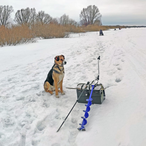 Ryb_27.02.2023-4.jpg