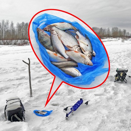 Ryb_28.02.2023-3.jpg