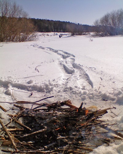 Shmrsk_27032012-2.jpg