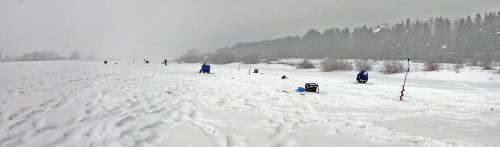 Ryb_06.03.2023-3.jpg