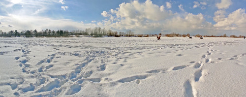Ryb_07.03.2023-2.jpg