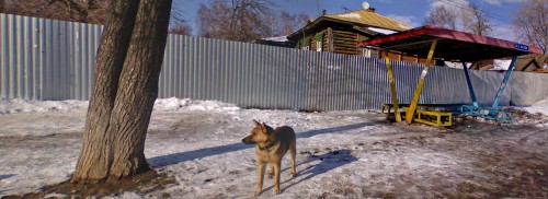 Shmrsk_27032012-4.jpg