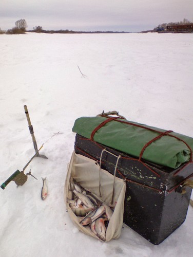 Shmrsk_29032012-3.jpg