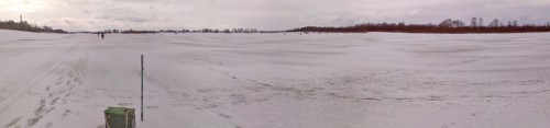 Shmrsk_01042012-1.jpg