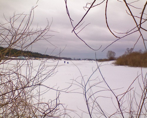 Shmrsk_01042012-2.jpg