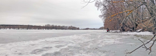 Ryb_16.03.2023-2.jpg