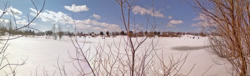 Shmrsk_04042012-2.jpg
