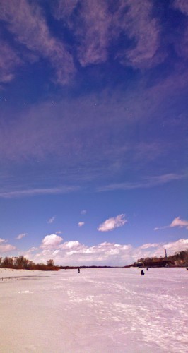 Shmrsk_04042012-3.jpg