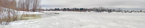 Ryb_19.03.2023-5.jpg