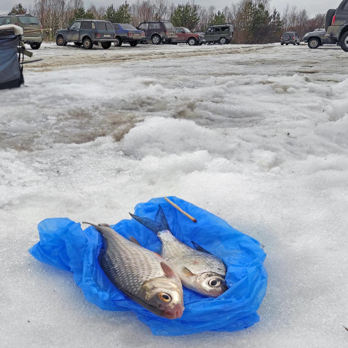 Ryb_19.03.2023-6.jpg
