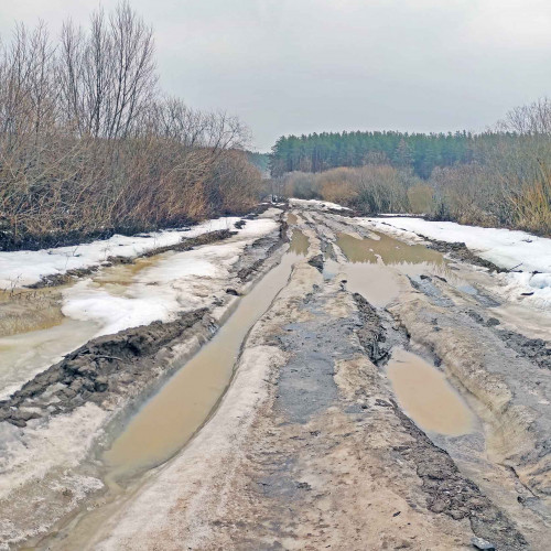 Ryb_26.03.2023-5.jpg