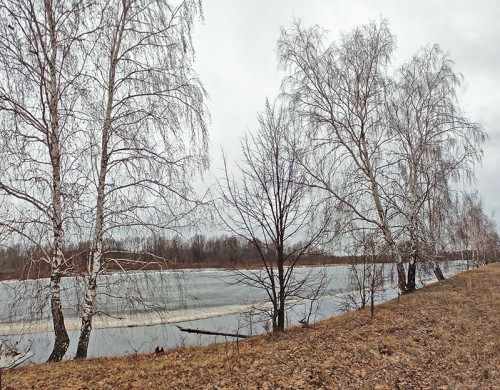 Les_02.04.2023-4.jpg