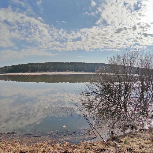 Les_04.04.2023-2.jpg