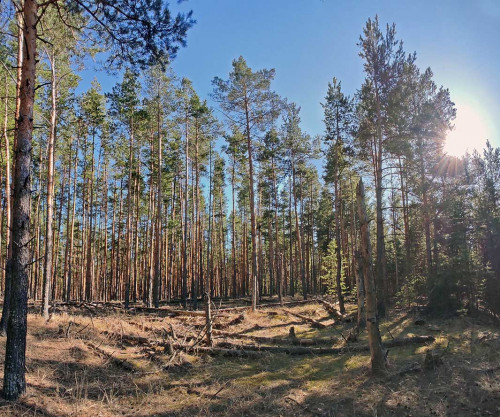 Ryb_07.04.2023-2.jpg