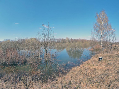 Ryb_12.04.2023-5.jpg