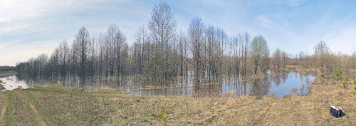 Ryb_16.04.2023-2.jpg