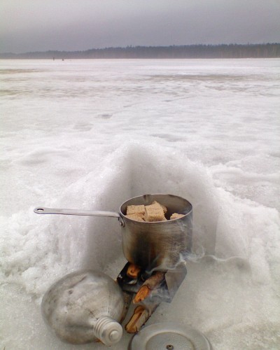 Vilja_09042012-2a.jpg