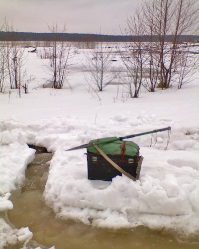 Vilja_09042012-5a.jpg