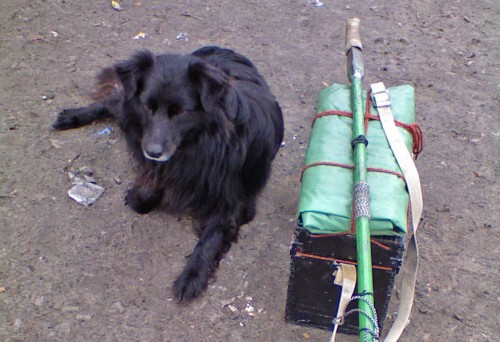 Shmrsk_10042012-3.jpg