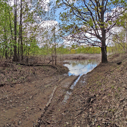 Les_06.05.2023-7.jpg