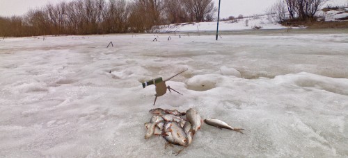 Shmrsk_11042012-3a.jpg