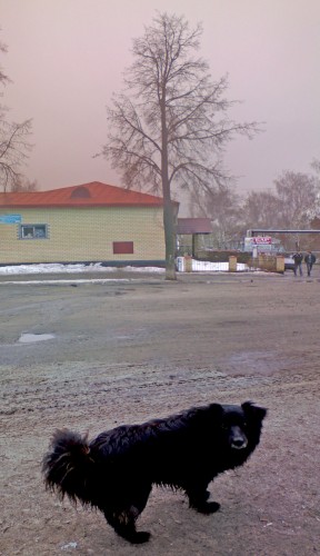 Shmrsk_11042012-4a.jpg