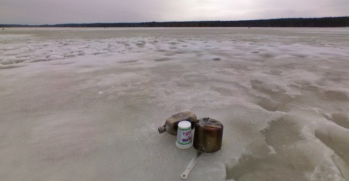 Vilja_12042012-1.jpg