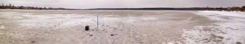 Vilja_12042012-2.jpg