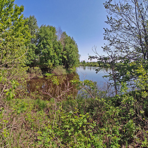 Les_28.05.2023-3.jpg