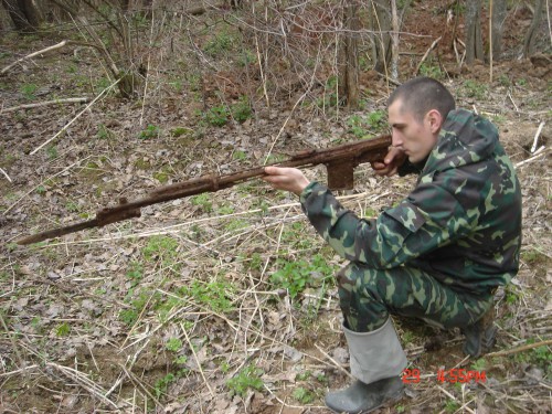 остов светки