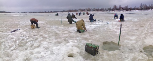 Vilja_14042012-1.jpg