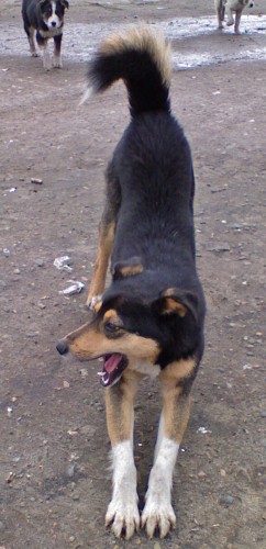 Vilja_14042012-4.jpg