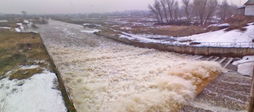 Vilja_15042012-1.jpg