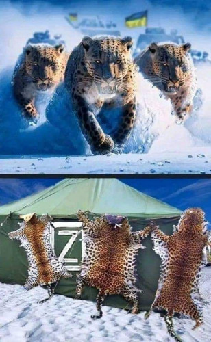 IAA_G5E.jpg