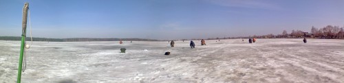 Vilja_17042012-2.jpg