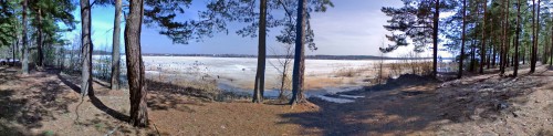Vilja_17042012-3.jpg