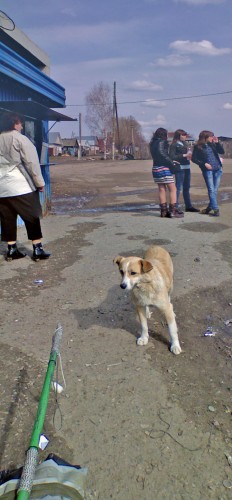 Vilja_17042012-6.jpg