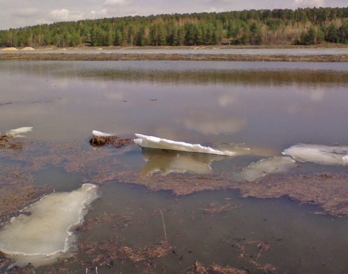 Shmrsk_22042012-3.jpg