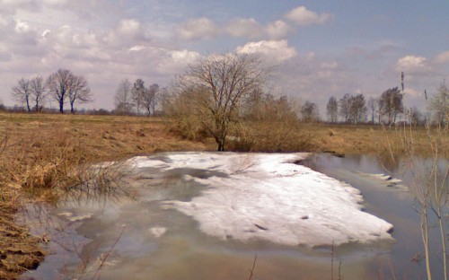 Shmrsk_22042012-4.jpg