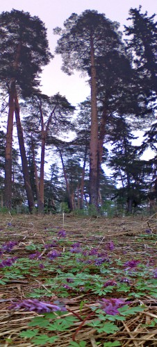 Les_22042011-1.jpg