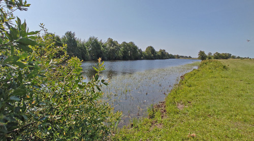 Les_17.06.2023-2.jpg