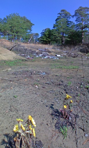 Svalka_24042012-2.jpg