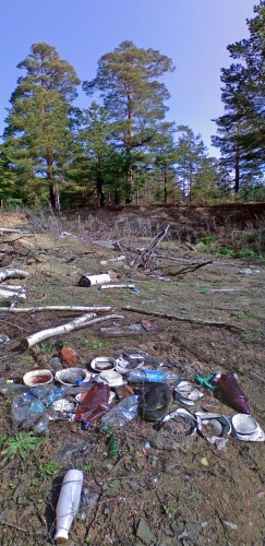 Svalka_24042012-3.jpg