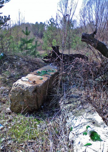 Svalka_24042012-4.jpg