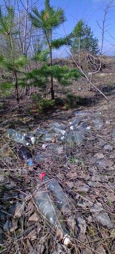 Svalka_24042012-5.jpg